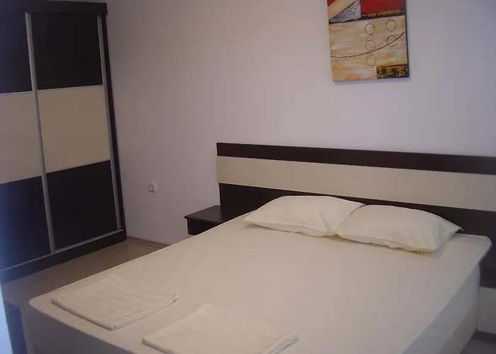 Stefani 프리모르스코